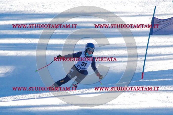 MAT_3297.jpg