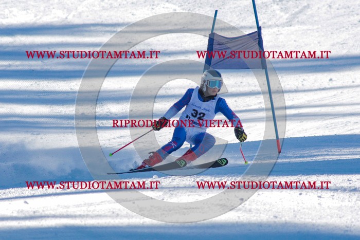 MAT_3308.jpg