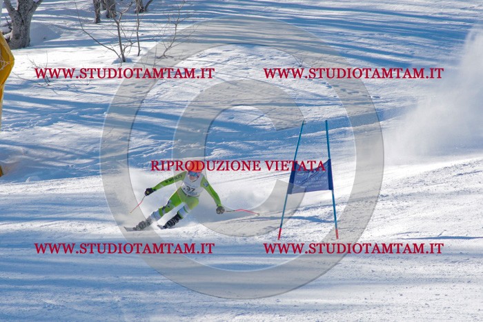 MAT_3340.jpg