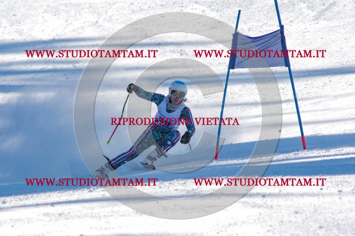 MAT_3359.jpg