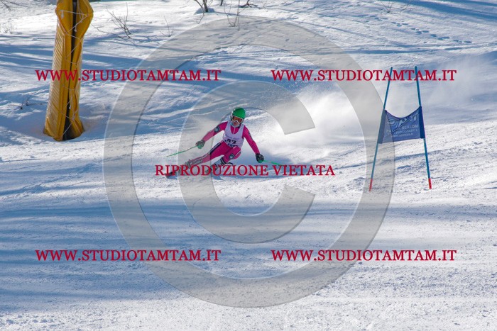 MAT_3389.jpg