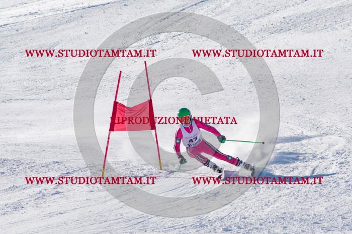 MAT_3392.jpg