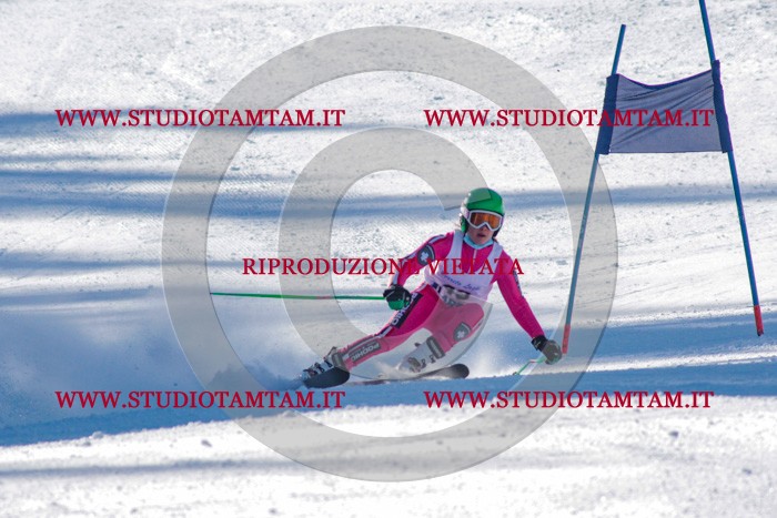 MAT_3394.jpg