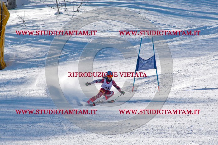 MAT_3399.jpg