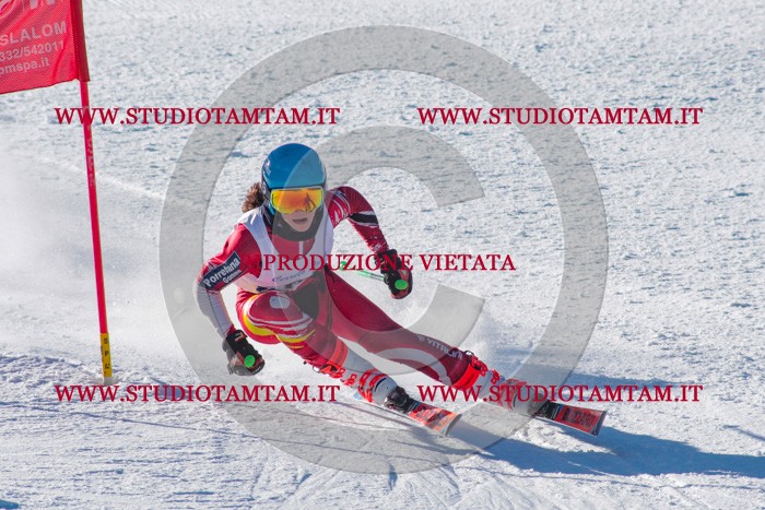 MAT_3405.jpg