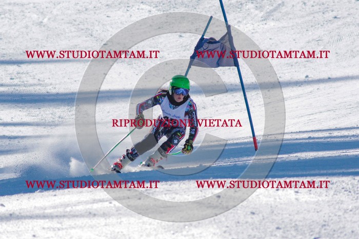 MAT_3411.jpg