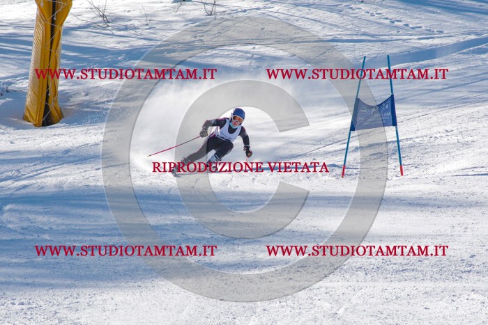 MAT_3432.jpg