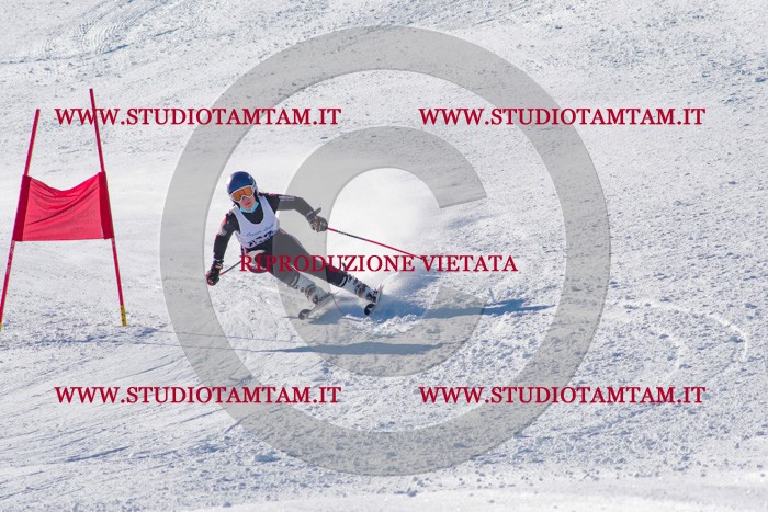 MAT_3435.jpg