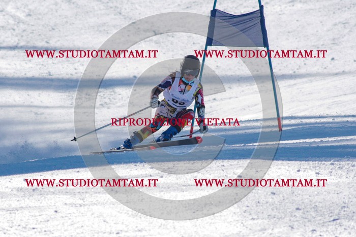 MAT_3483.jpg