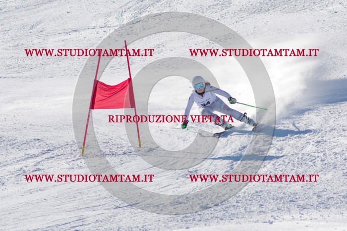 MAT_3490.jpg