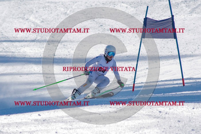 MAT_3493.jpg