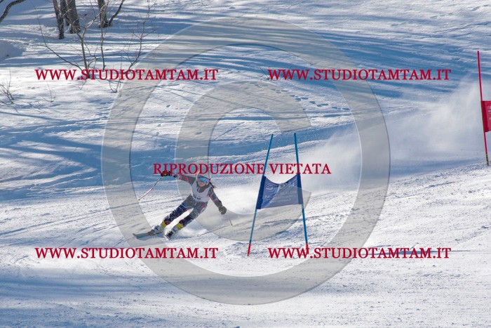 MAT_3500.jpg