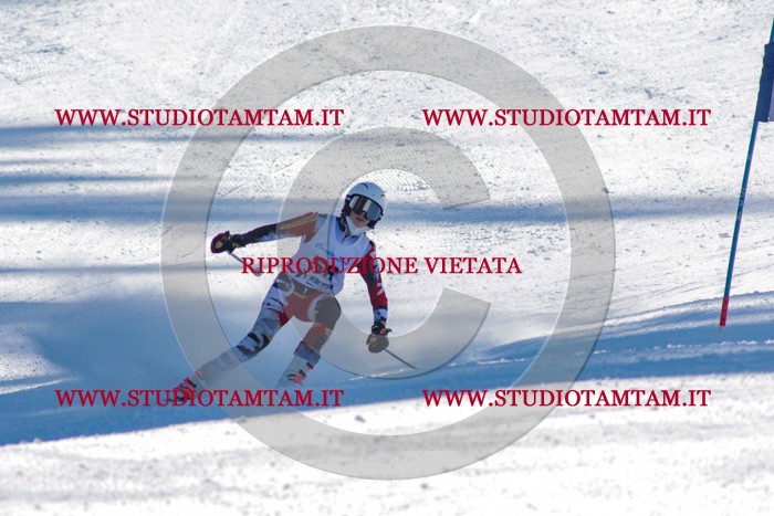 MAT_3513.jpg