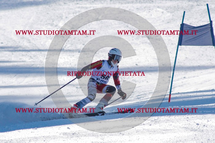 MAT_3514.jpg