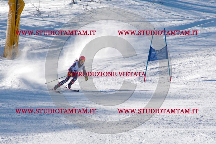 MAT_3519.jpg