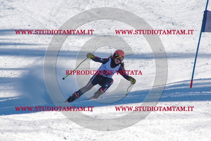 MAT_3522.jpg