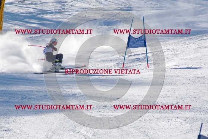 MAT_3529.jpg