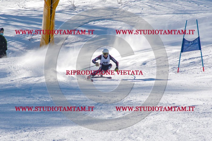 MAT_3536.jpg