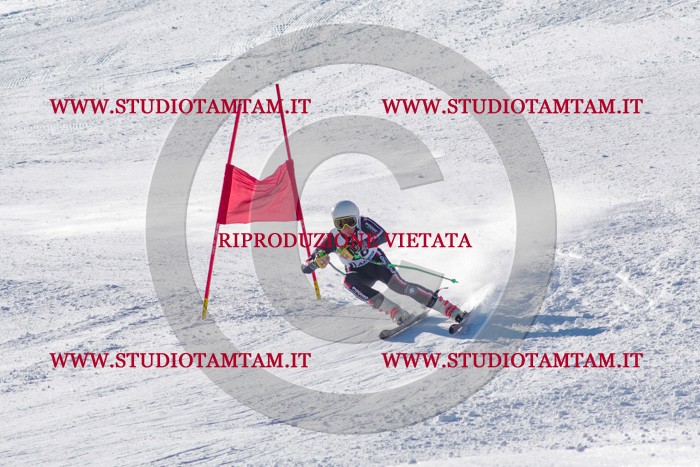 MAT_3538.jpg