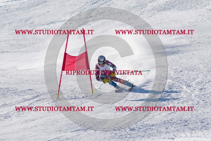 MAT_3548.jpg