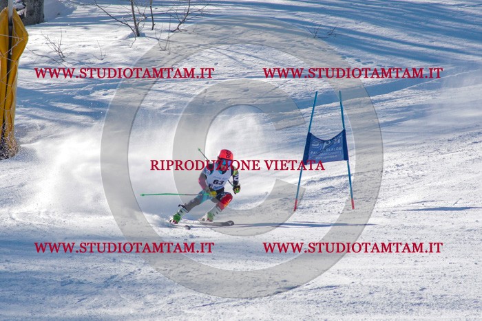 MAT_3565.jpg