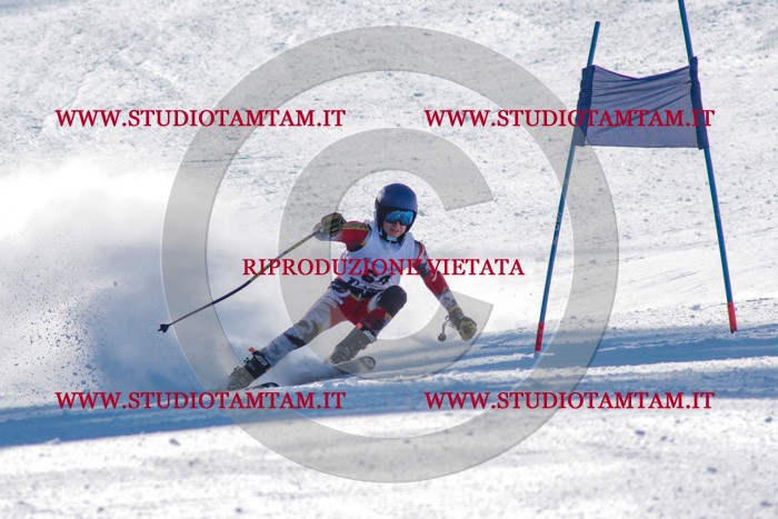 MAT_3579.jpg