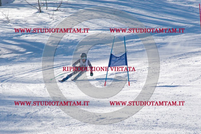 MAT_3584.jpg