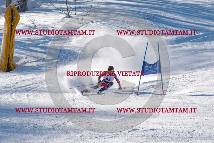 MAT_3594.jpg