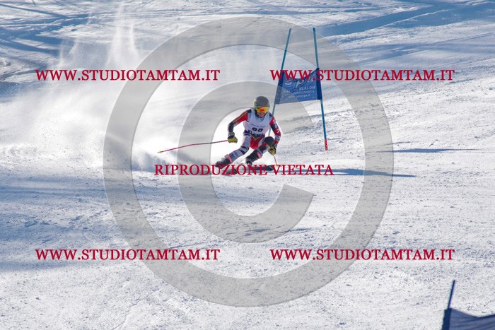 MAT_3596.jpg