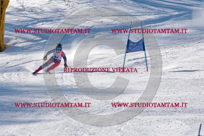 MAT_3605.jpg
