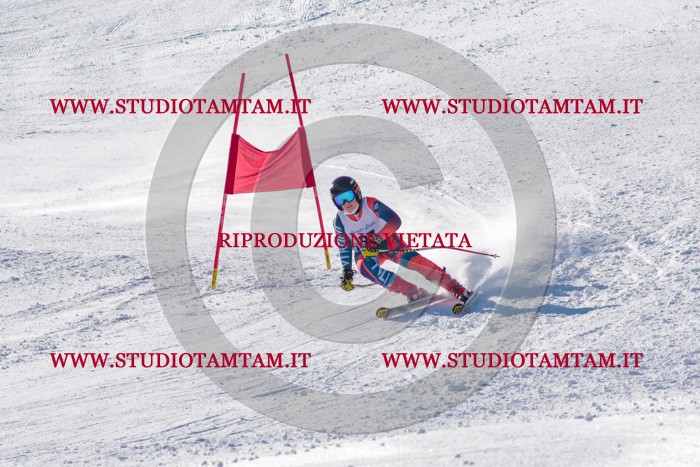 MAT_3607.jpg