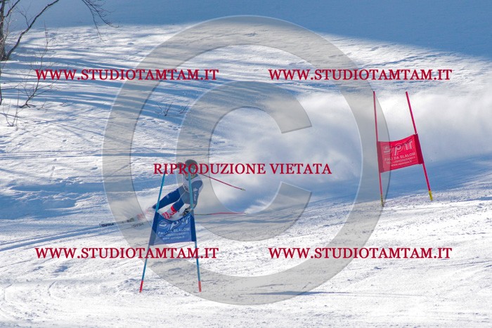 MAT_3614.jpg