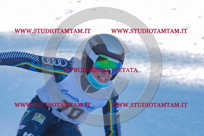 MAT_3639.jpg