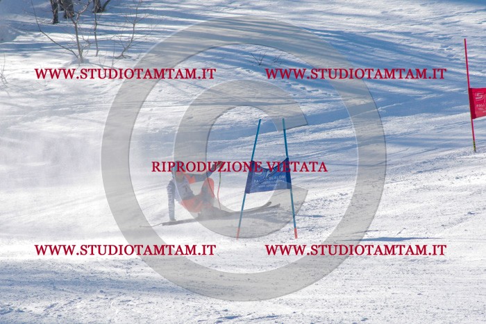 MAT_3643.jpg