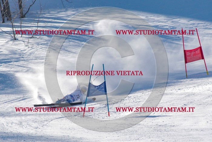 MAT_3659.jpg