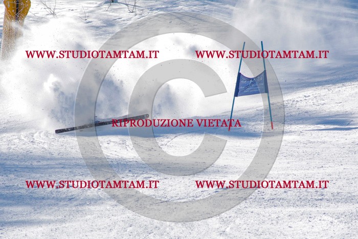 MAT_3660.jpg