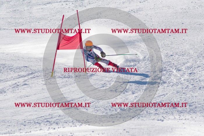 MAT_3664.jpg