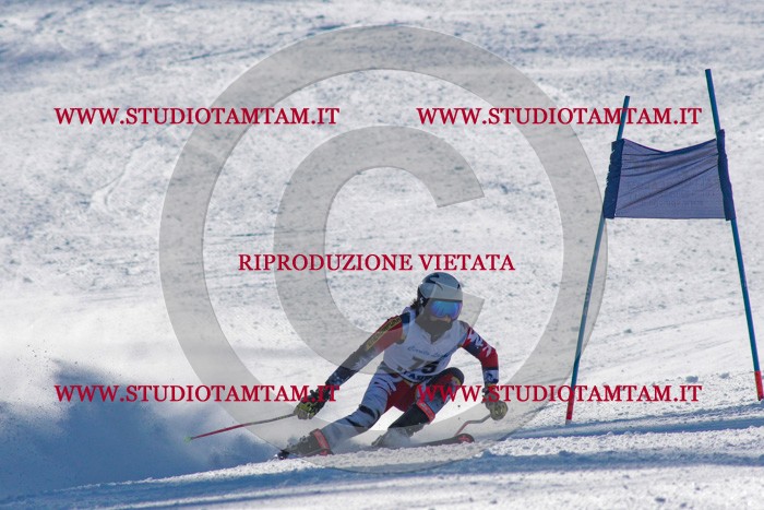 MAT_3678.jpg