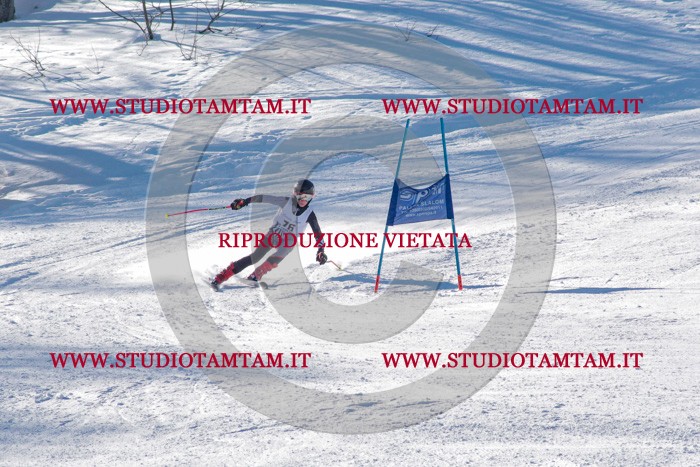 MAT_3684.jpg