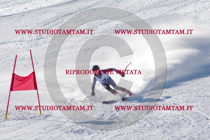 MAT_3685.jpg