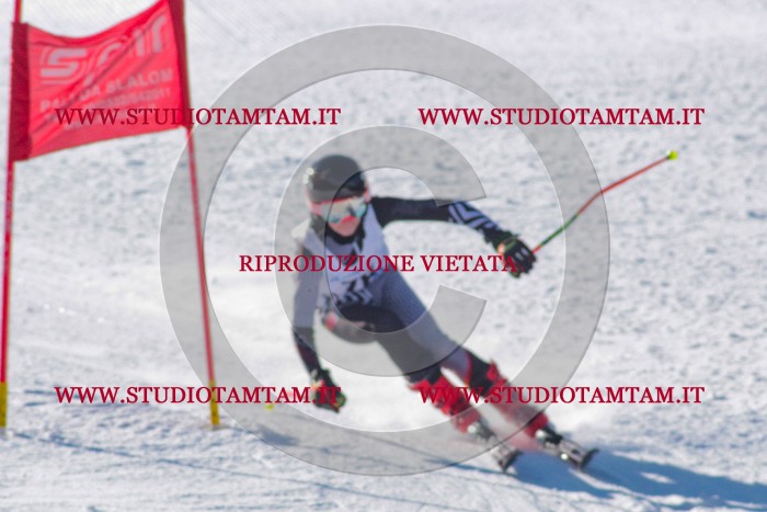 MAT_3689.jpg