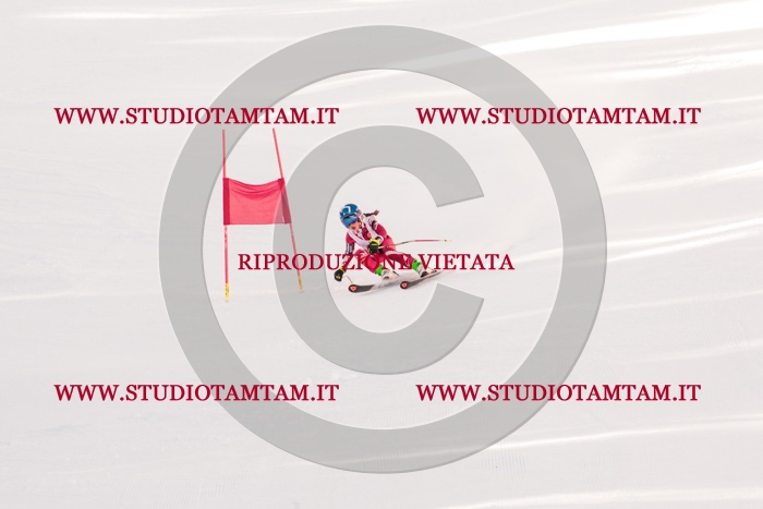 MAT_3719.jpg