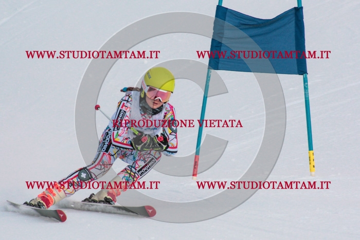 MAT_3777.jpg