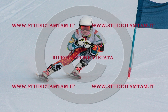 MAT_3793.jpg