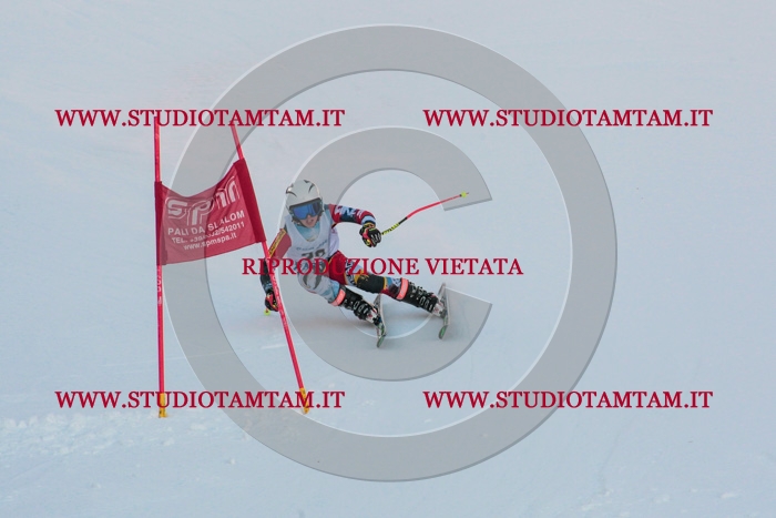 MAT_3896.jpg