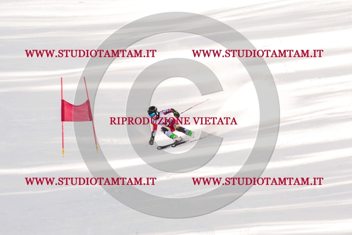 MAT_3950.jpg