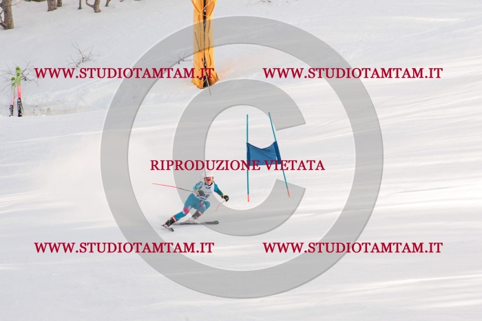 MAT_4093.jpg