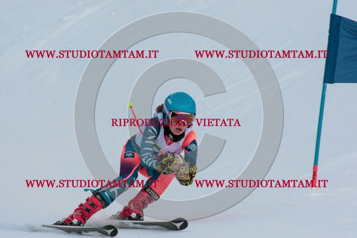 MAT_4138.jpg