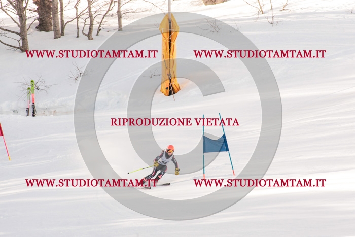 MAT_4180.jpg