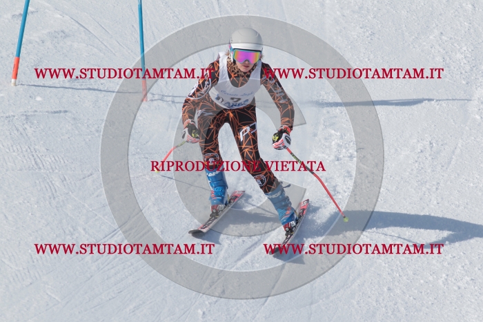 MAT_4435.JPG